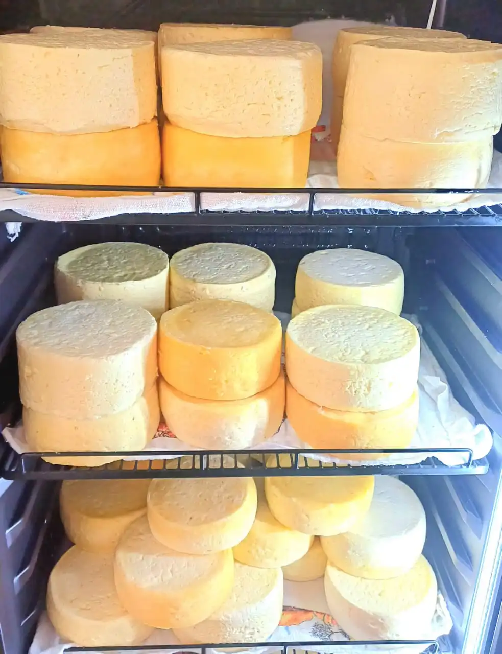 Queijo artesanal produzido na fazenda com leite puro