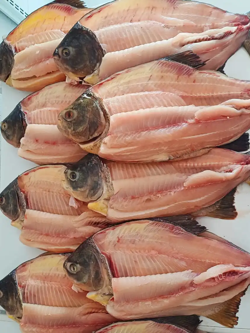 Pacu retalhado