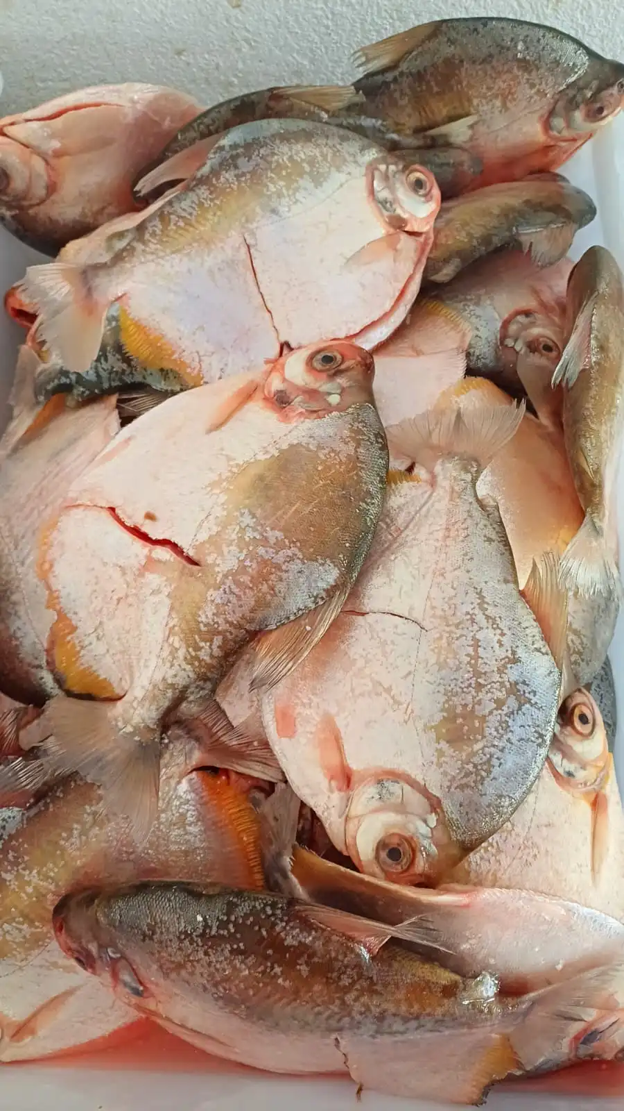 pacupeva